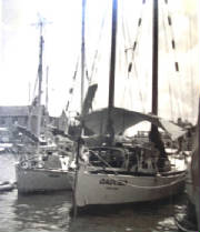 gauchven.jpg